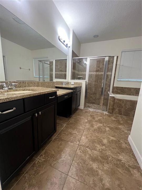 Owner’s Bathroom