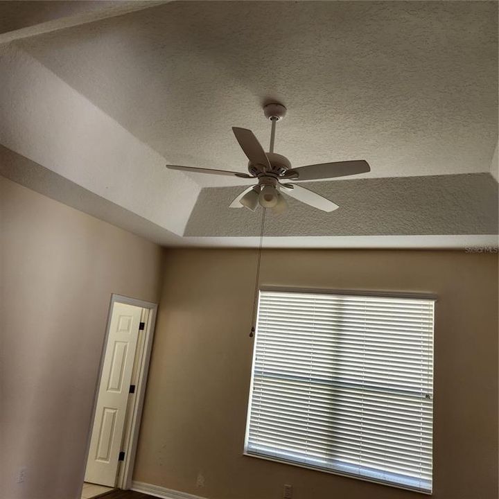 Tray Ceilings