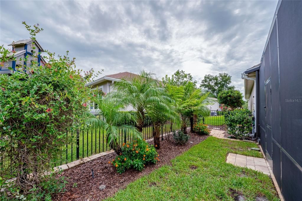 Beautiful side yard