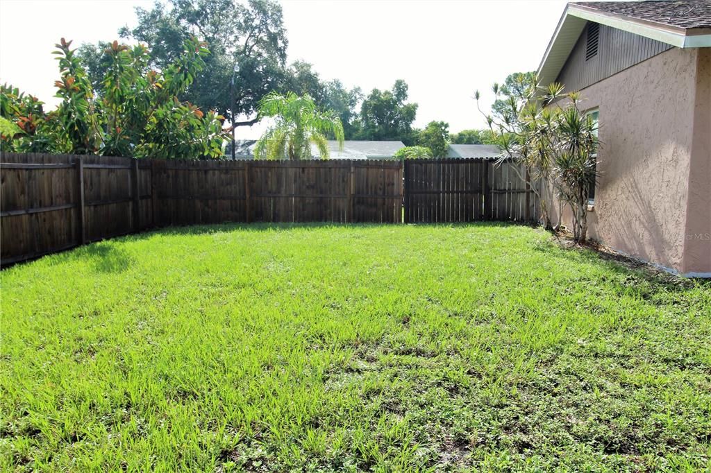 Fenced Backyard