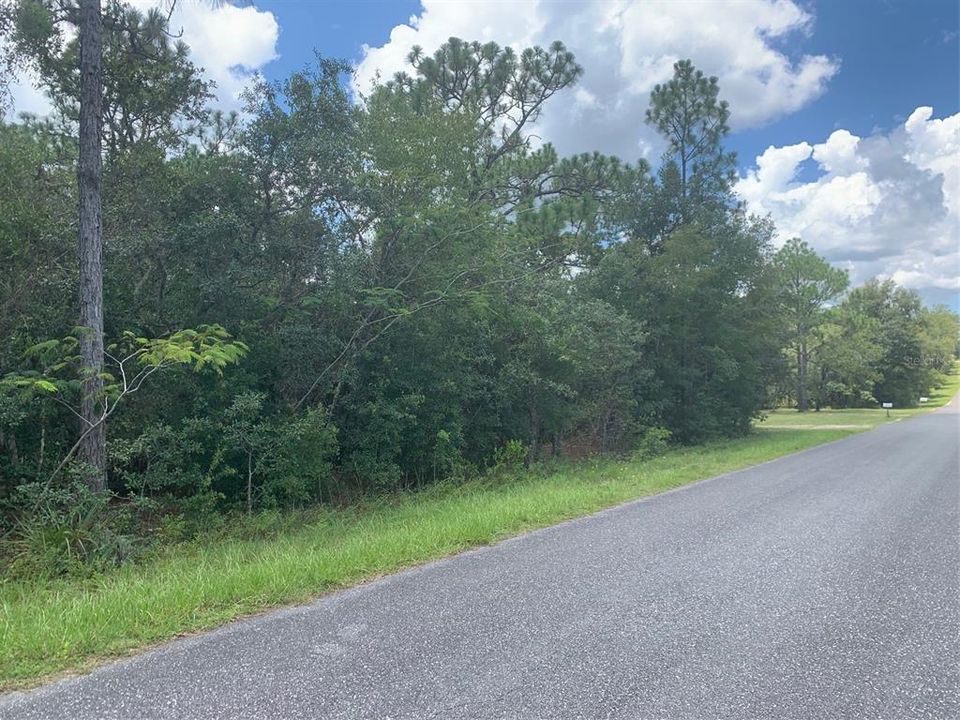 Недавно продано: $20,000 (0.99 acres)