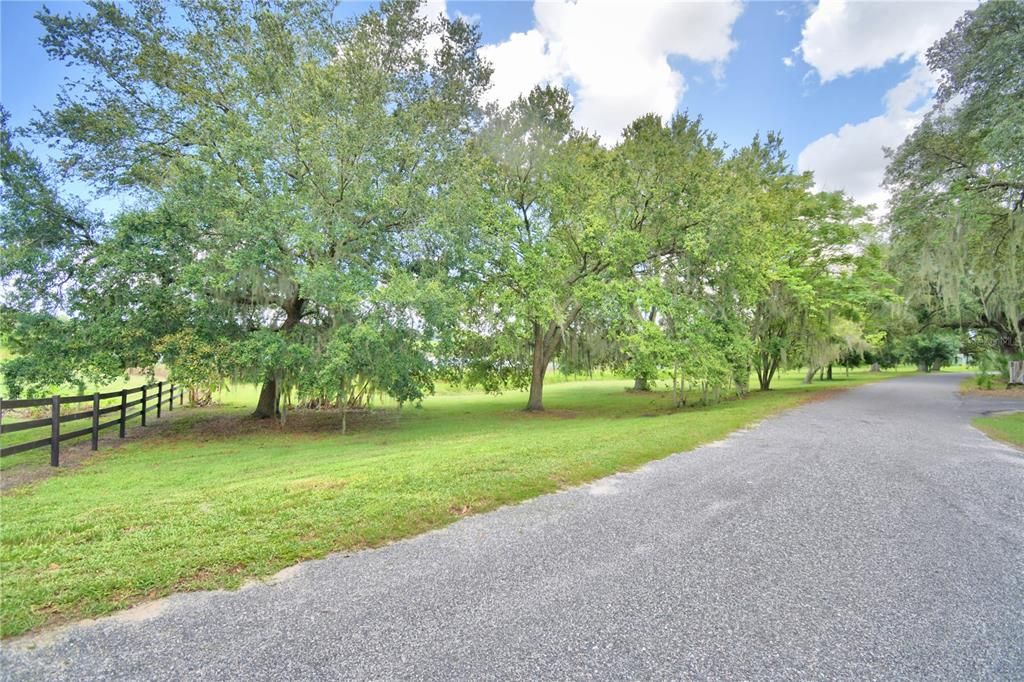 Beautiful tree-lined drive down to the property.