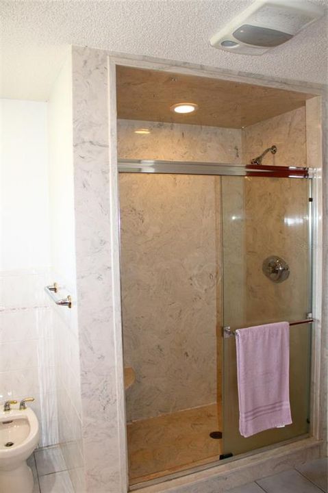 Master Walk-In Shower