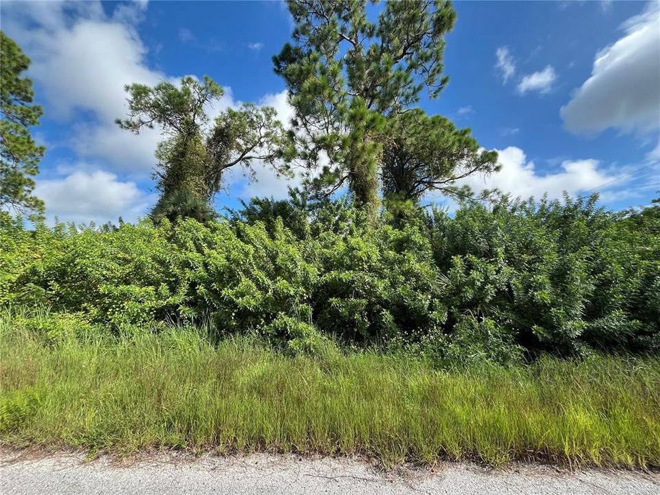 Active With Contract: $17,000 (0.25 acres)