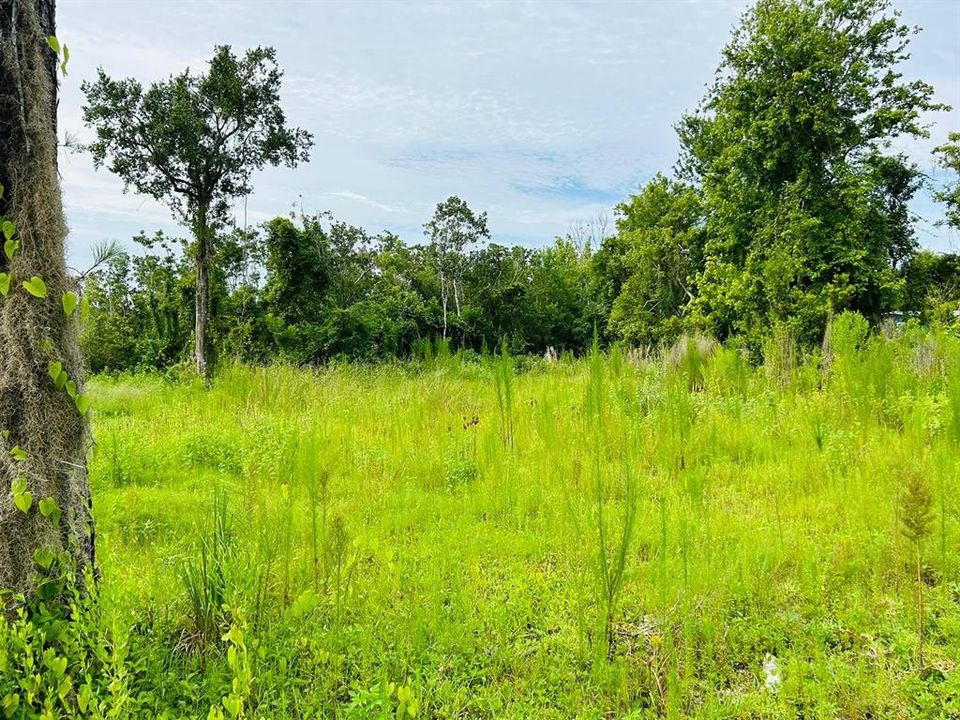 For Sale: $33,000 (0.14 acres)