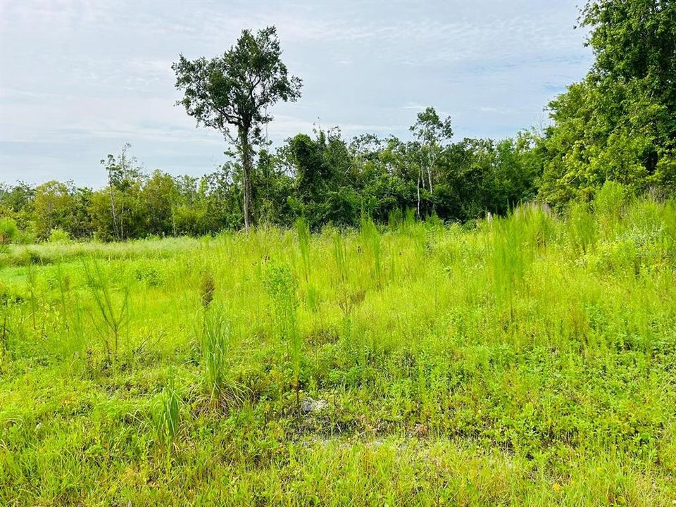 En Venta: $33,000 (0.14 acres)