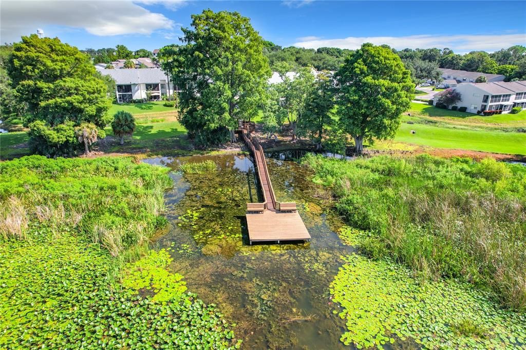 Community dock for fishing, boat accessible!