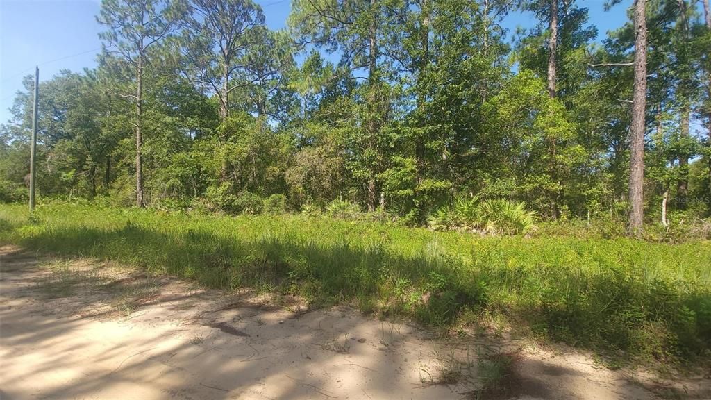 For Sale: $7,000 (0.22 acres)