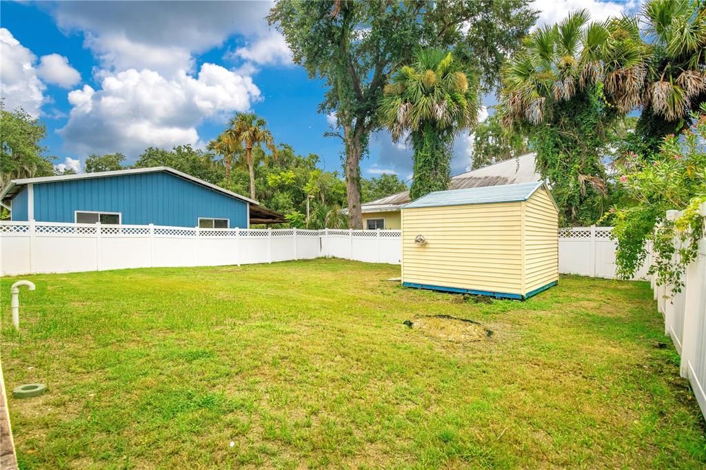 Backyard with Shed