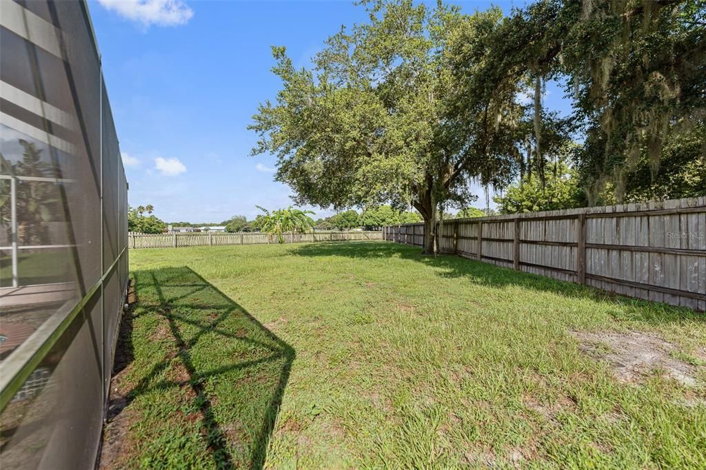 Back yard space