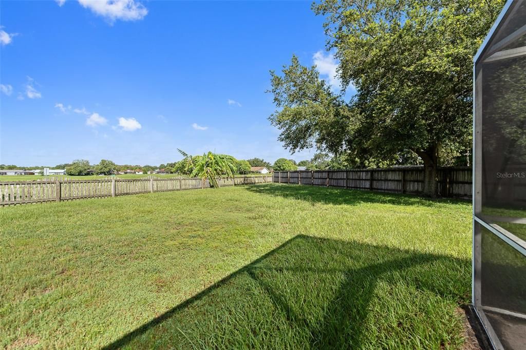 Oversized yard with pond just beyond this fence