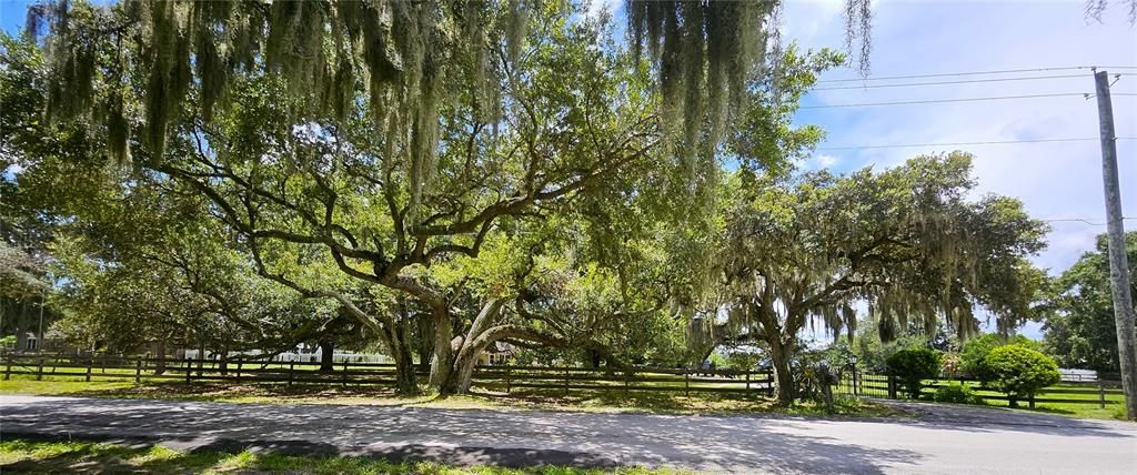 Active With Contract: $949,900 (3 beds, 2 baths, 1850 Square Feet)