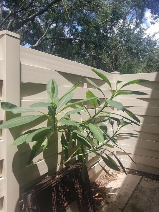 outside fence patio