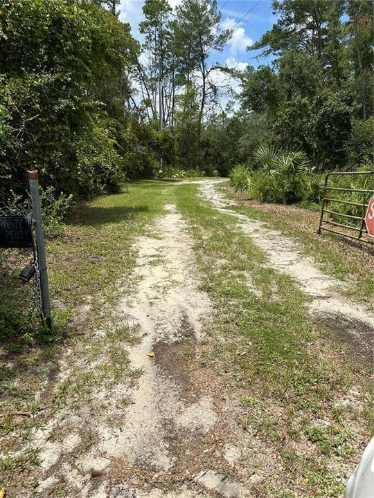 driveway into homestead