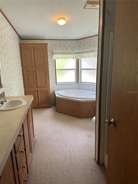 primary bath with double sinks, jetted tub and shower.