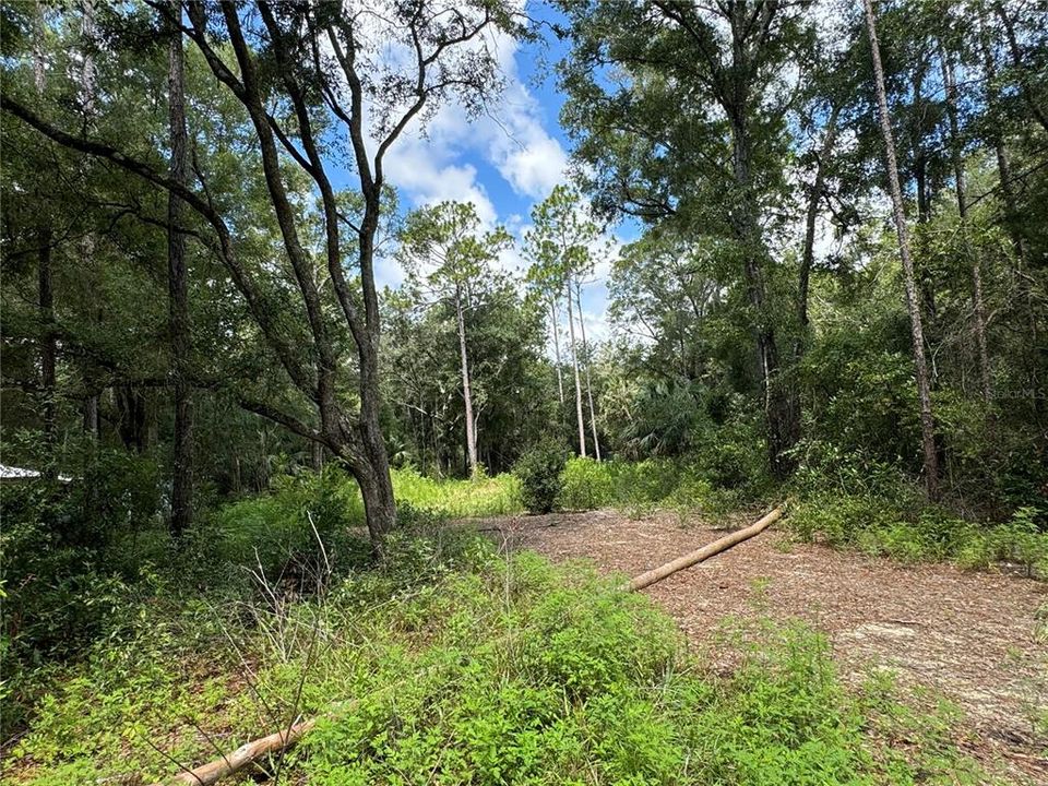 View from NW 97th Ct. This is the lot that runs from NW 58th Place to NW 59th St 200' wide road to road