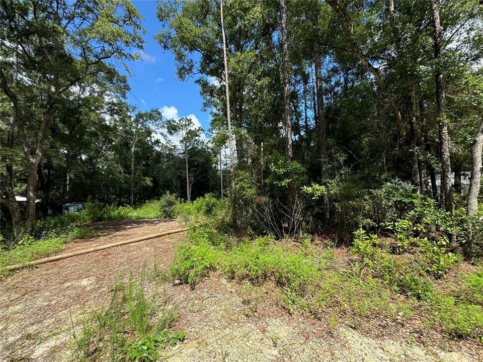 View from NW 97th Ct. This is the lot that runs from NW 58th Place to NW 59th St 200' wide road to road