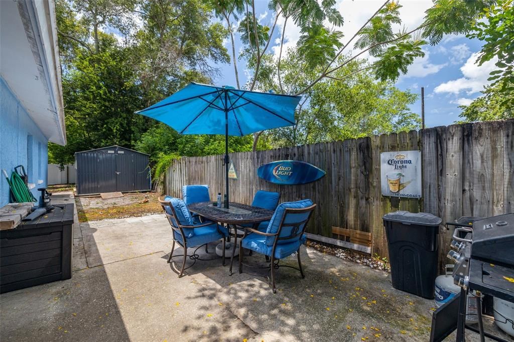 Side Patio, New Shed in Background