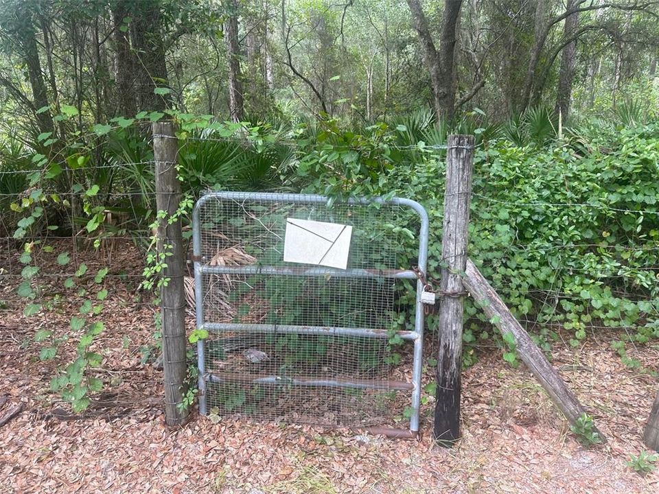 Path to Lake