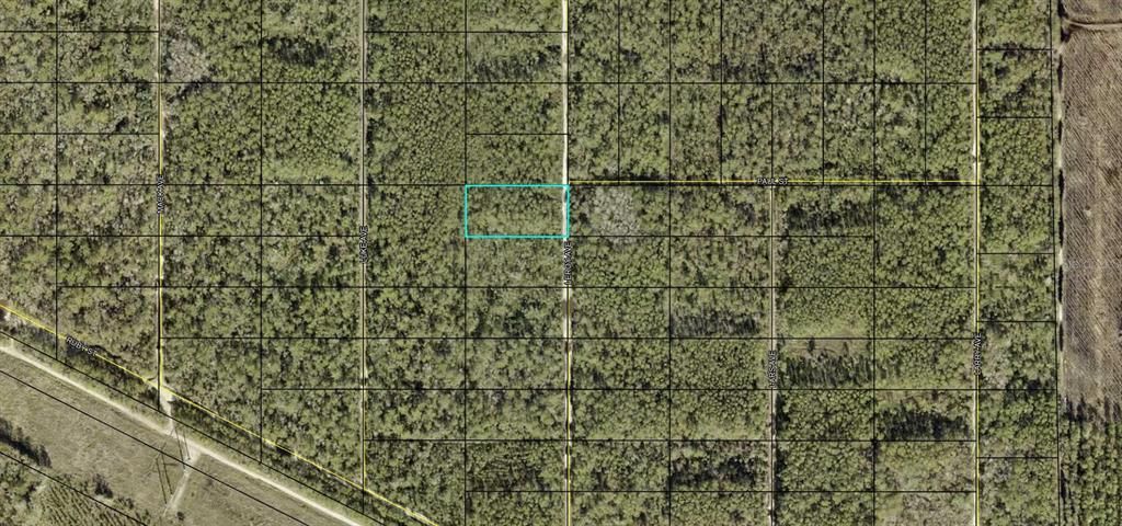 For Sale: $9,900 (1.14 acres)