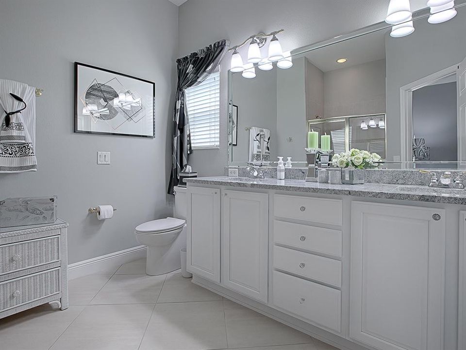 PRIMARY BATH WITH GRANITE COUNTER TOPS, BEVELED EDGE MIRROR, NEWER FIXTURES AND FAUCETS.