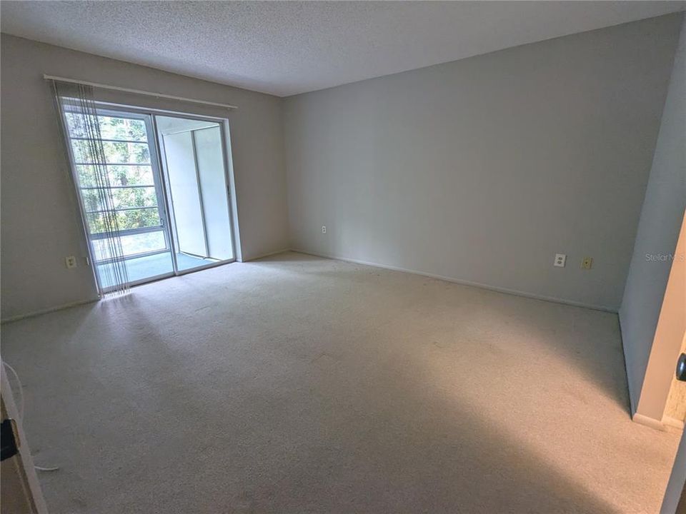 Master bedroom - imagine peaceful tree top views when you wake up every morning