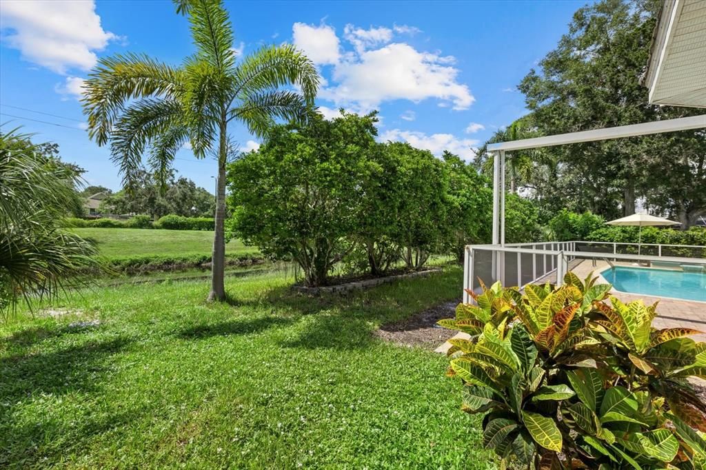 Backyard behind pool area