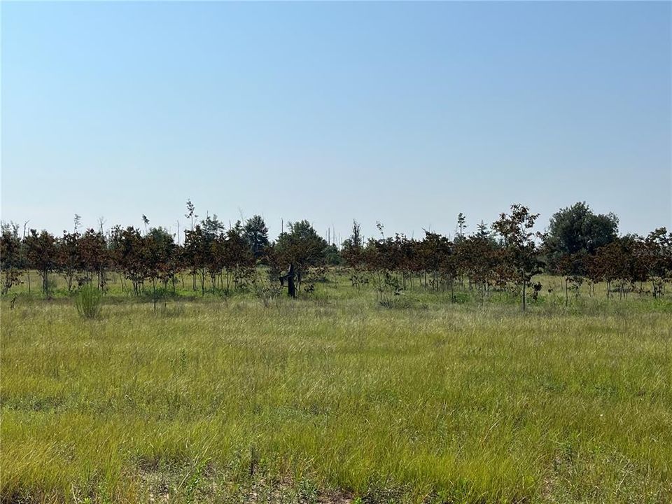 На продажу: $199,500 (35.40 acres)