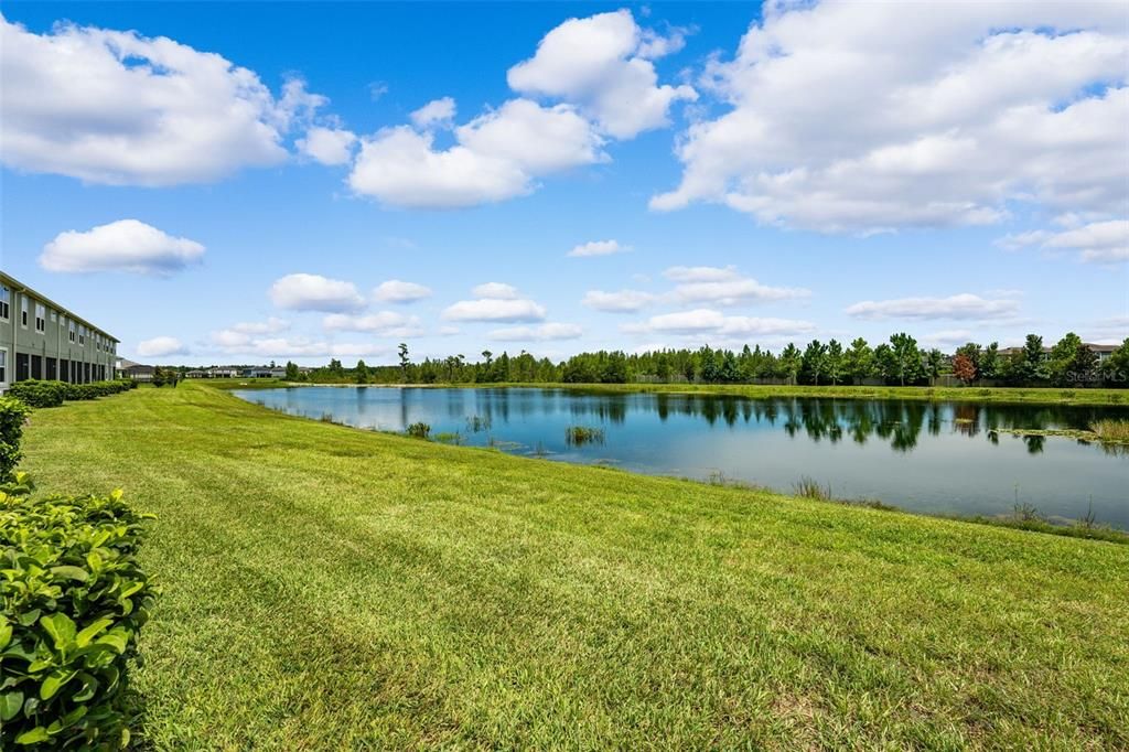 conservation pond view