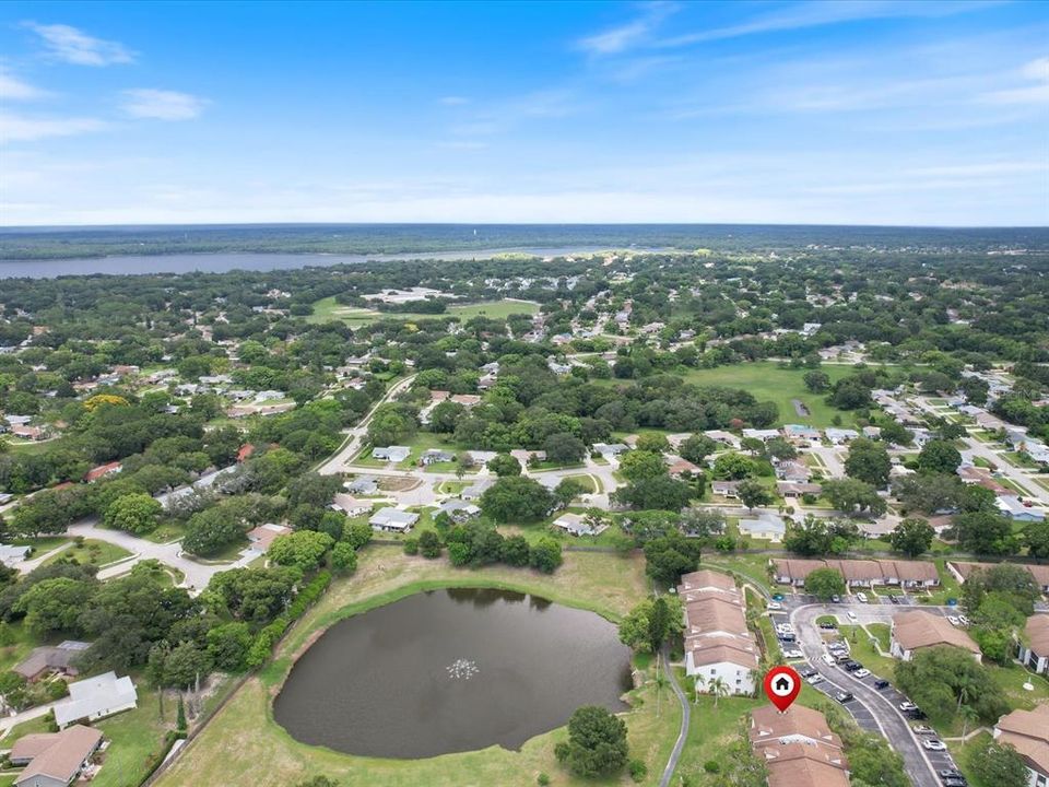 Centrally located in the heart of Palm Harbor