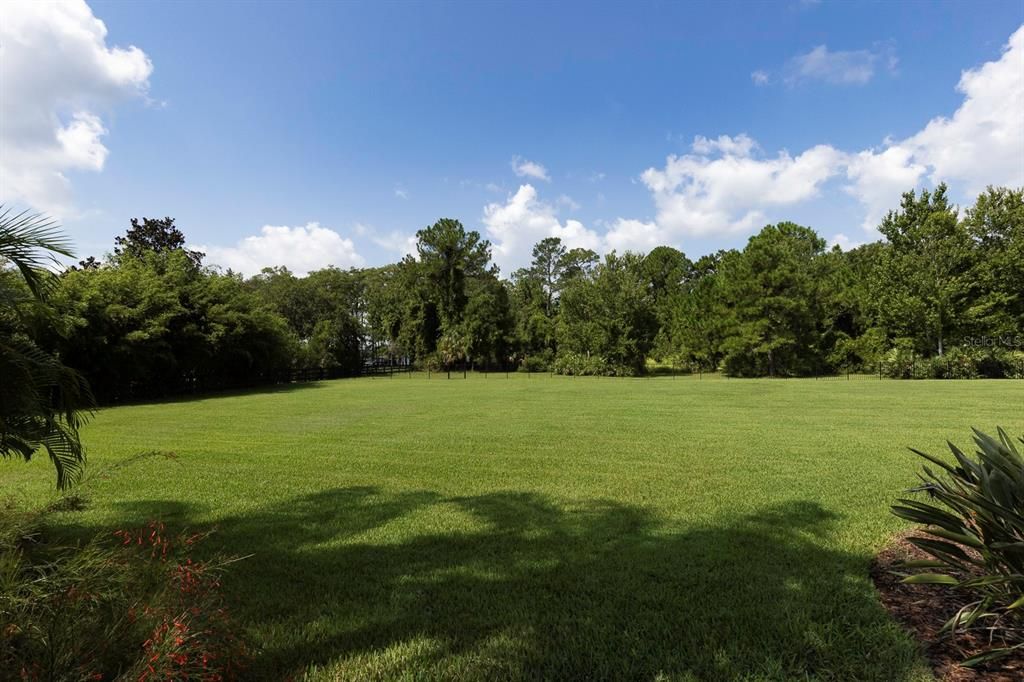 Back Yard View- Fenced