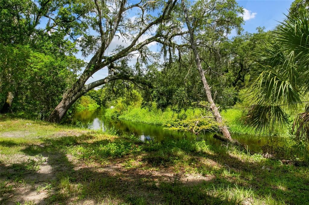 SHINGLE CREEK ALONG SIDE THE HOUSE