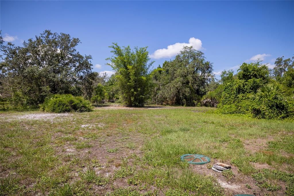 Front Yard facing Wauchula - very private lot