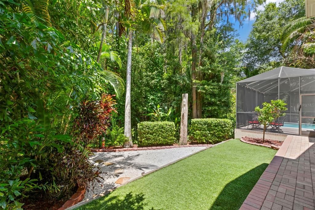 Artificial Turf and Back Yard