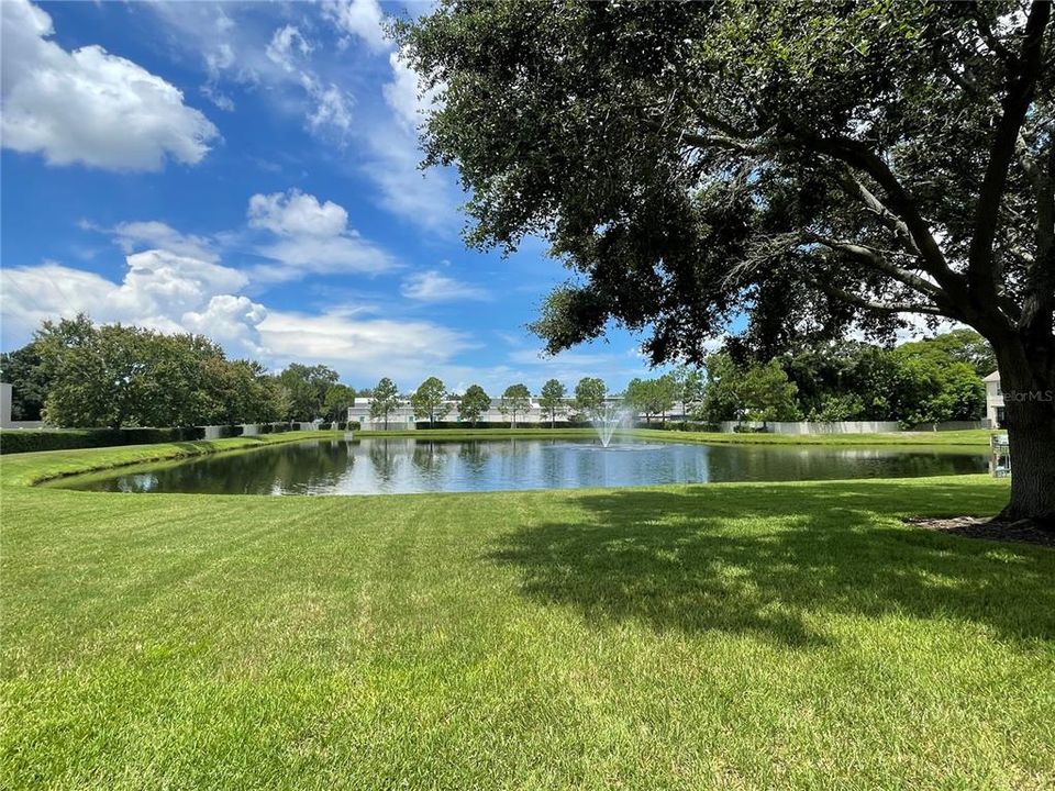 beautiful pond views from your kitchen