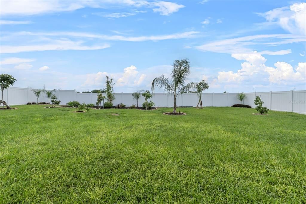 BEAUTIFULLY LANDSCAPED BACK YARD