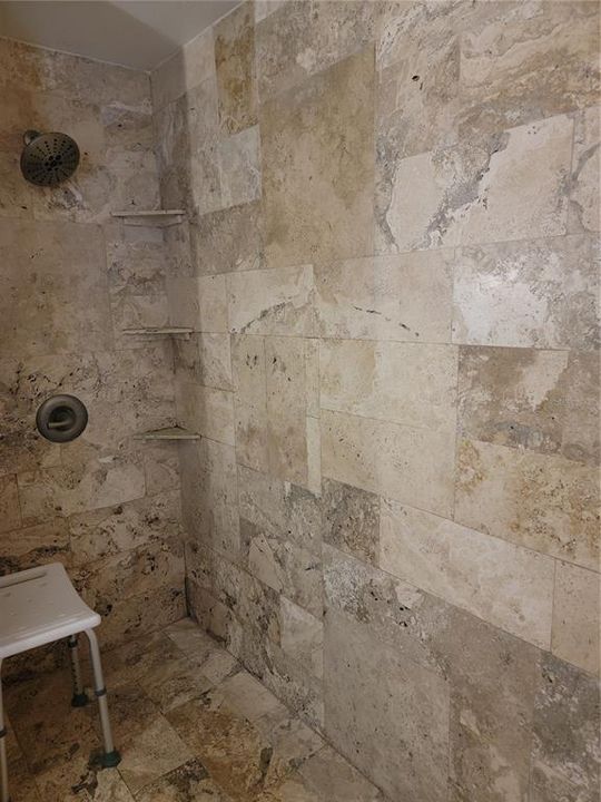 Master Bathroom Large walk-in shower