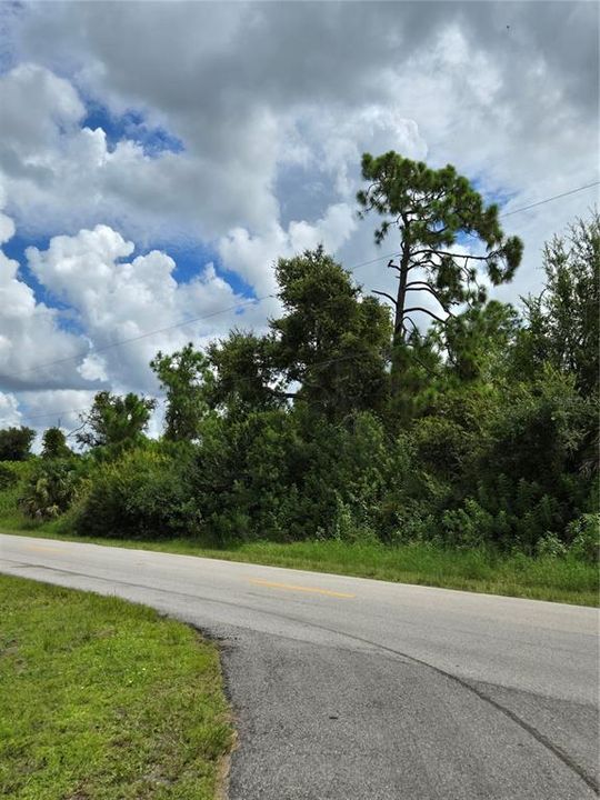 Active With Contract: $23,900 (0.24 acres)