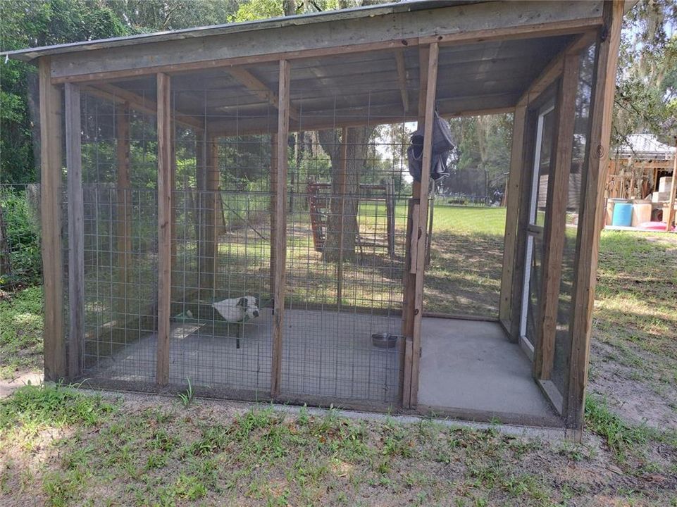 DOG PEN/CHICKEN COOP