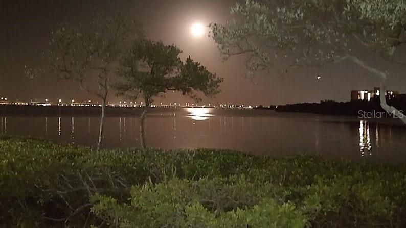 Moon over the Bay