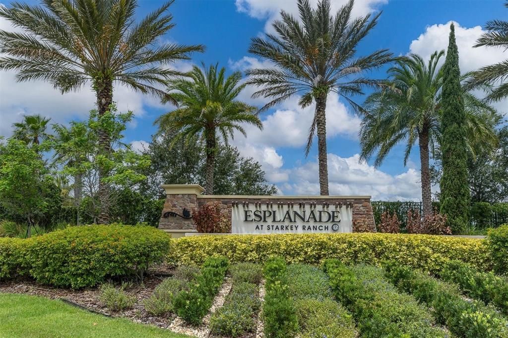 GATED ESPLANDE AT STARKEY RANCH