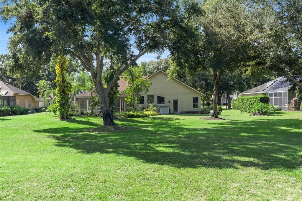 Rear Yard with Mature Trees