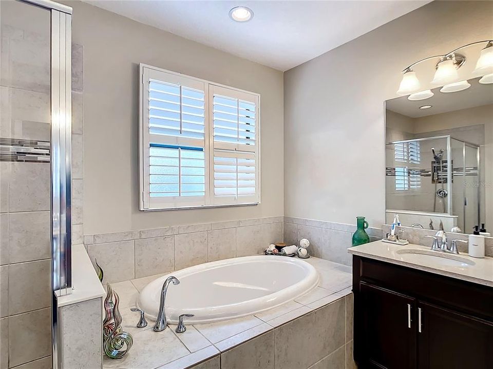 Master bath soaking tub