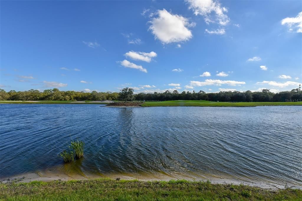 Manatee River view