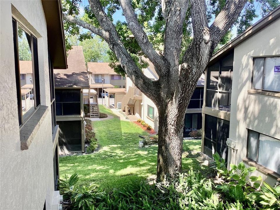 View from front entrance porch.