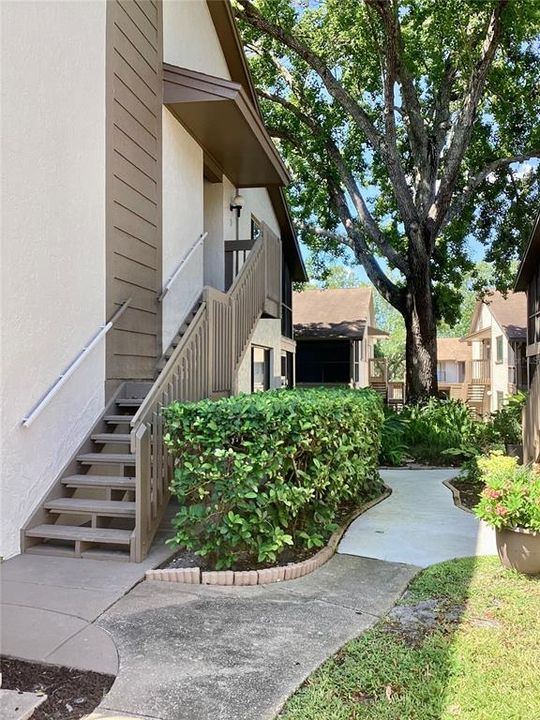 Walkway from carport to stairway.