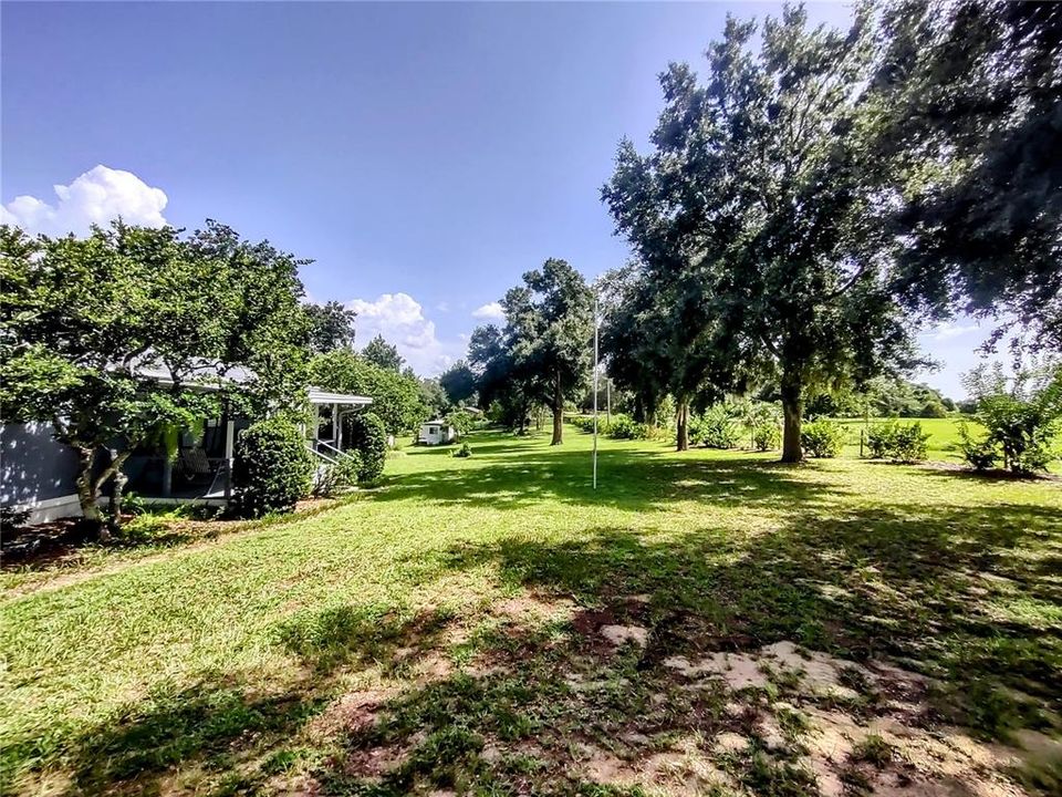 Front yard of the Main Home