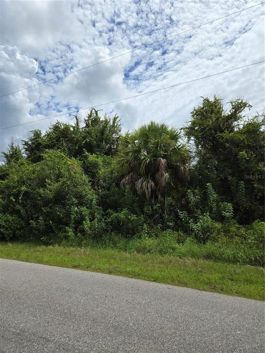 Active With Contract: $23,900 (0.23 acres)