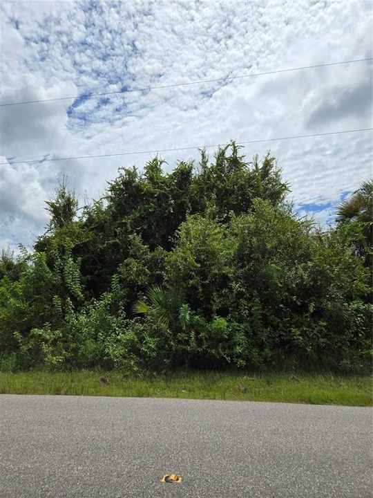 Active With Contract: $23,900 (0.23 acres)