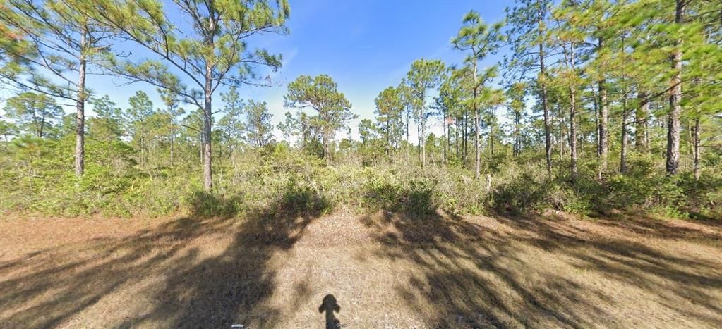 待售: $49,900 (0.50 acres)